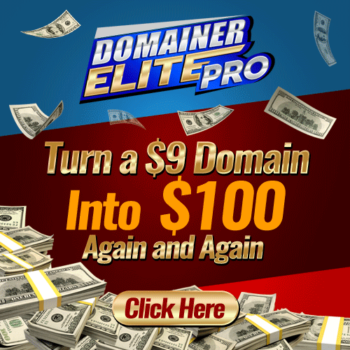 Domainer Elite Pro Review